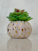 Load image into Gallery viewer, Ceramic Pumpkin Planter